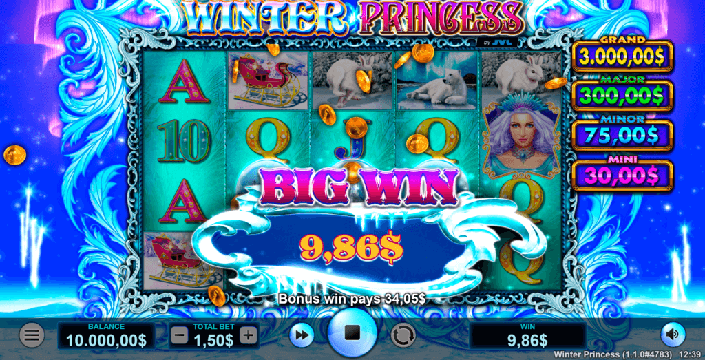 Winter Princess Screenshot 10